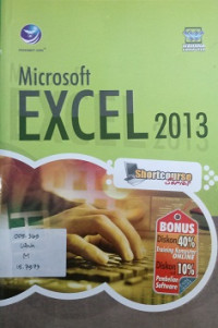 Microsoft Excel 2013